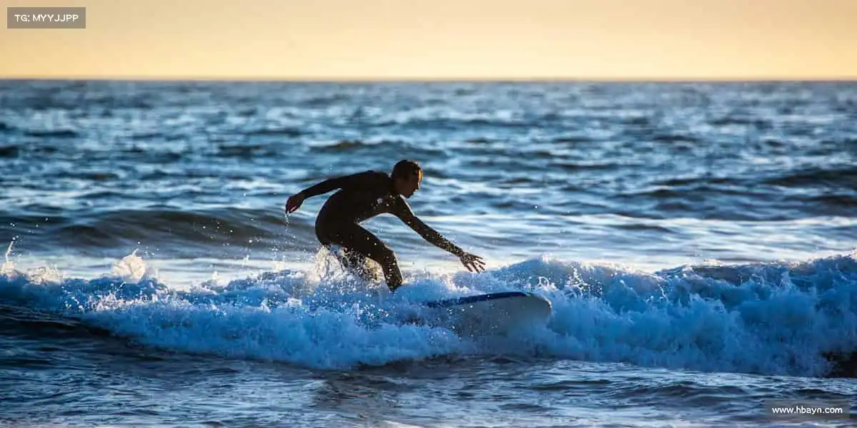 美狮贵宾会ms092021——🏇🌄驾驭风的方向,追逐梦想!